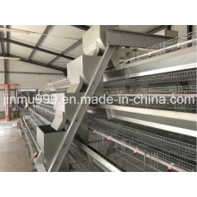 Automatic Chicken Cage System for Layer Poultry Farm